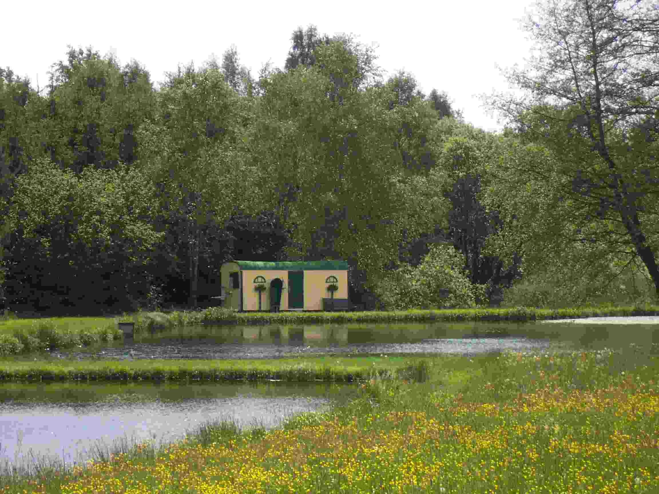 Biotop bei Reichenbach